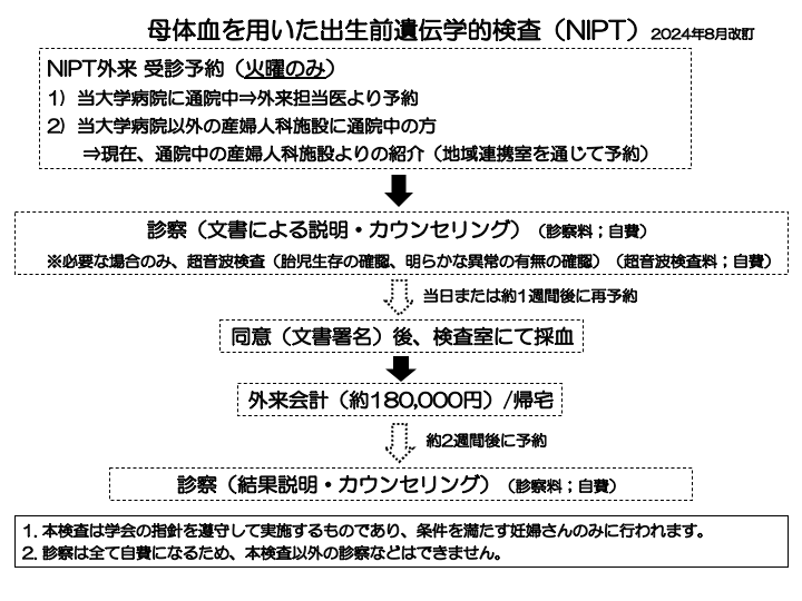 NIPT検査の流れ